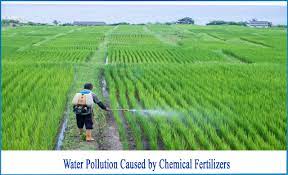 how are the chemical fertilizers