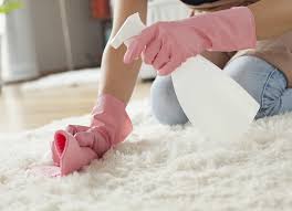 carpet cleaning services across exeter
