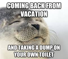 Image result for vacation toilet