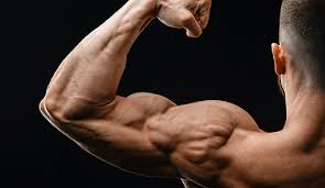 exercises that build biceps and triceps