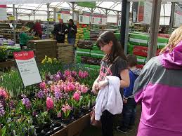 picture of wyevale garden centre