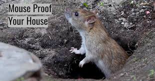 Pest Control Tips 17 Insanely Simple