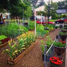 Plant A Front Yard Vegetable Garden