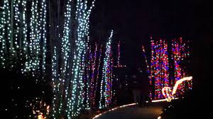 Sarasota Botanical Gardens Christmas Lights Pogot