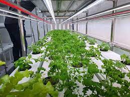 hydroponics bts engineering