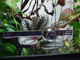How To Fit A Lock To A Vivarium A