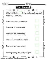 This is a boy clothes coloring and tracing worksheet. Body Part Function Test Kids Worksheet Handout