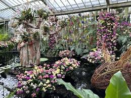 kew gardens orchid festival 2024