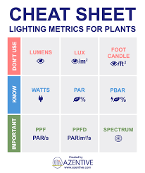 We did not find results for: How To Choose The Best Indoor Grow Lights For Plants