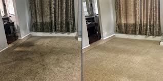 dalworth clean carpet cleaning gallery