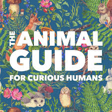 The Animal Guide for Curious Humans