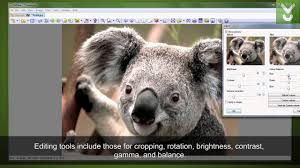Bmp viewer software for windows. Xnview 2 49 4 Full Free Download Latest