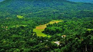 15 best places to visit in coorg top