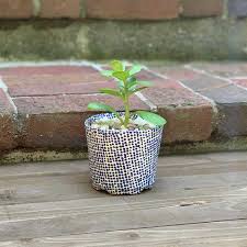 transform a plastic plant pot into a