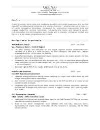 CV Canada     Canadian resume writing services by Canadian recruiters  General Summary For Resume Tech Resume Examples Excel with     Professional Government Resume Samples   Templates