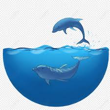 dolphin blue dark sea water dark