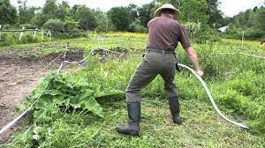 a modern seymour midwest tools scythe