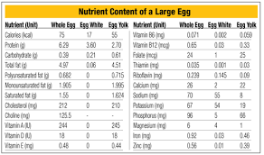 Up For Debate Are Eggs Bad For You Articles Vitamin