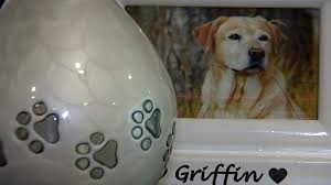 The pet loss center is the premier provider of pet cremation services and memorialization products. Pet Loss Center To Help Owners Honor And Remember Furry Friends In Unique Way Abc13 Houston