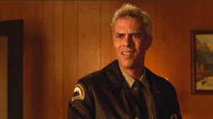 Image result for Pictures of Bobby Briggs in Twin Peaks