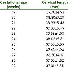 Descriptive Statistics Of Uterine Cervical Length