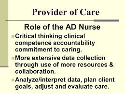 Clinical competency acquisition process by an individual nurse