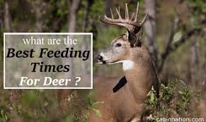 47 Thorough Deer Feed Chart