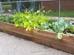 Raised Beds And Container Gardens