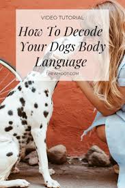 Dog Body Language Chart Decoding Behavior The Whoot