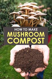 how to make organic mushroom compost at