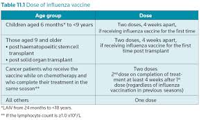 Seasonal Influenza Vaccination Programme 2019 2020 Hse Ie
