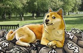 Last week the price of dogecoin has increased by 42.04%. Dogecoin Sports Betting Review 2021 Smartbettingguide