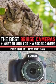 the best bridge camera 2024 what to