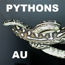the reptiles of australia python page