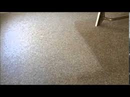 carpet cleaning and pest control in