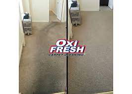3 best carpet cleaners in allentown pa