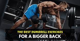 10 best dumbbell back exercises and the