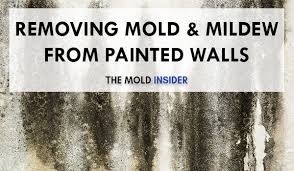 How To Remove Mold Mildew From Walls
