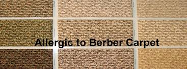 allergy free berber carpets