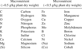 macro and micronutrients