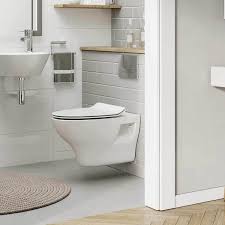 What Is The Best Wall Hung Toilet For