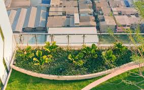 roof garden definition and meaning