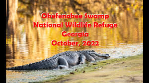 okefenokee national wildlife refuge s