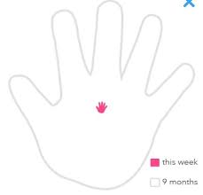 Ovia Pregnancy Baby Size Chart Bedowntowndaytona Com
