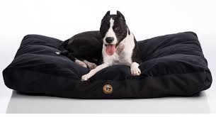 Chew Proof Dog Beds Tear Resistant