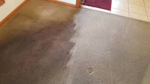 carpet cleaning rochester mn go green