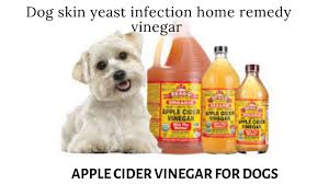 dog skin yeast infection home remedy