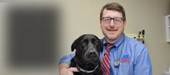 We contribute a large part of our success to our great prices, excellent service, and beautiful facilities, and of course, because of our satisfied. Veterinarians Animal Hospital In Nashville Belle Meade Tn