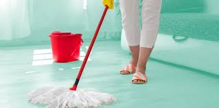 find the best carpet cleaning services