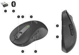 Signature M650 Wireless Mice Series | Logitech Business